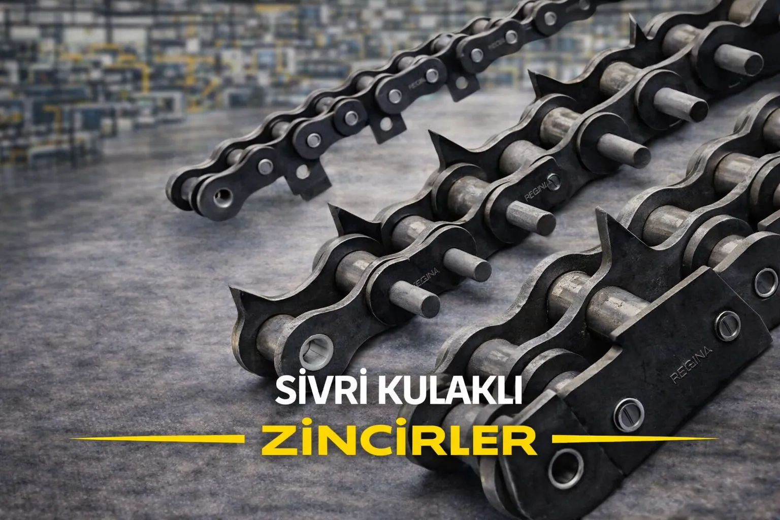 Sivri Kulaklı Zincirler